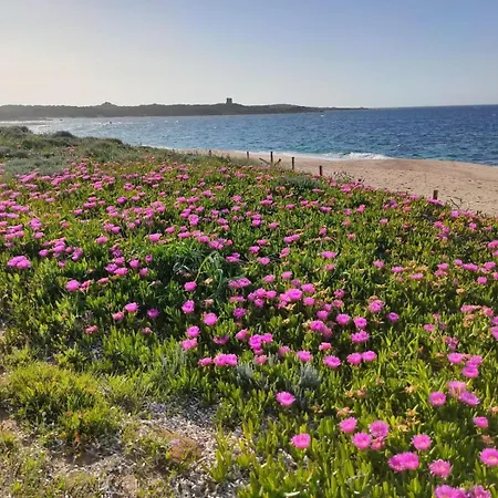 Beautiful Baya Vignola Vignola Mare